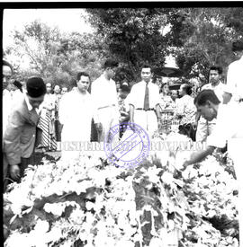 Para pelayat meletakkan karangan bunga di makam Ny. Saniroon, 14 – 8 – 1956