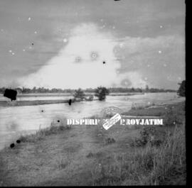 Tambak dan sawah penduduk yang  terendam dalam banjir Porong, 12 – 2 – 1959