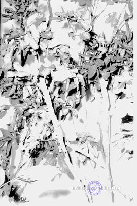 image 01