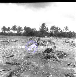 Banjir bandang yang melanda persawahan / lahan pertanian pada bencana alam banjir di Jember, 13 –...