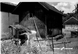 image 01