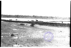 Suasana pesisir di Kepulauan Gili Raja Kabupaten Sumenep, 14 – 7 – 1956