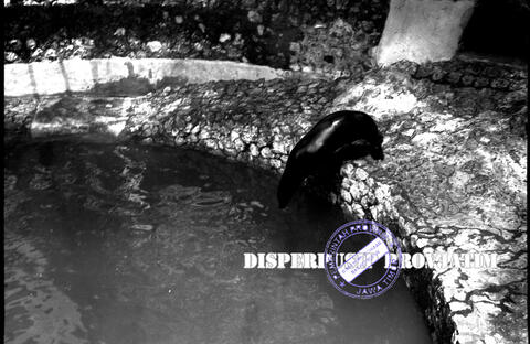 Original Objek Digital not accessible