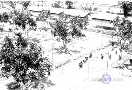 image 01