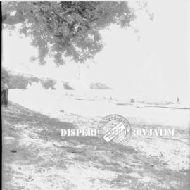 Pantai pasir putih situbondo, 1956