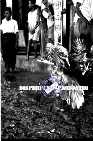 Original Objek Digital not accessible