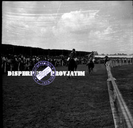 Suasana lomba pacuan (patjuan) kuda di jombang (djombang) jawa timur, 26 – 8 – 1956