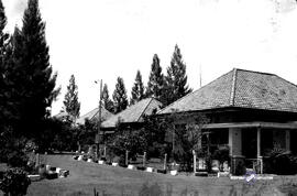 image 01