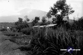 Rombongan Kalimantan ke Djawatan Perkebunan (pertanian) Punten, tanggal 11 April 1955 Batu Malang...