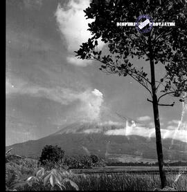 Desa Supit Urang Lumajang dengan latar belakang Gunung Semeru, foto diambil pada saat promotion t...