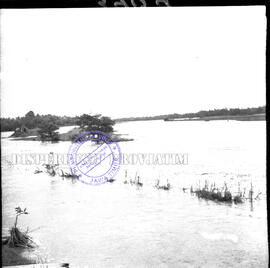 Tambak dan sawah penduduk yang terendam dalam banjir Porong, 12 – 2 – 1959